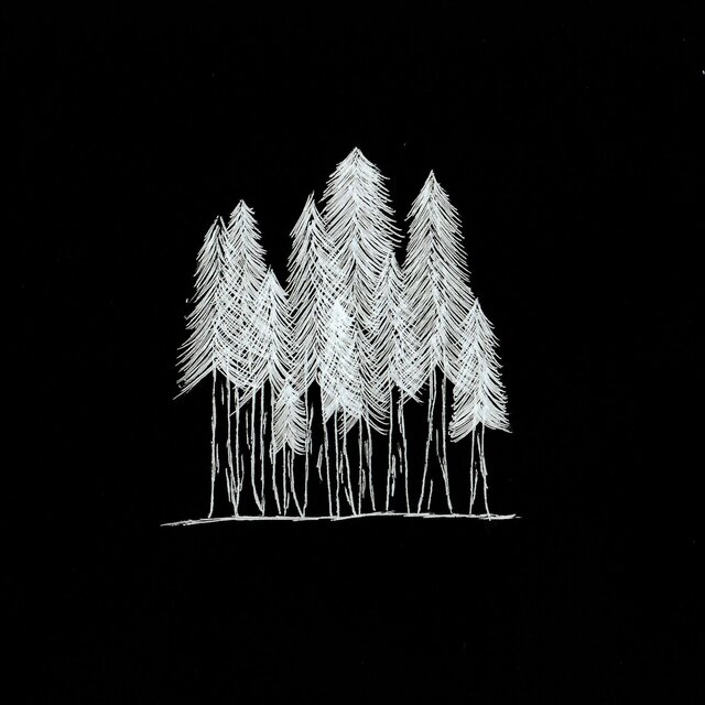 woods