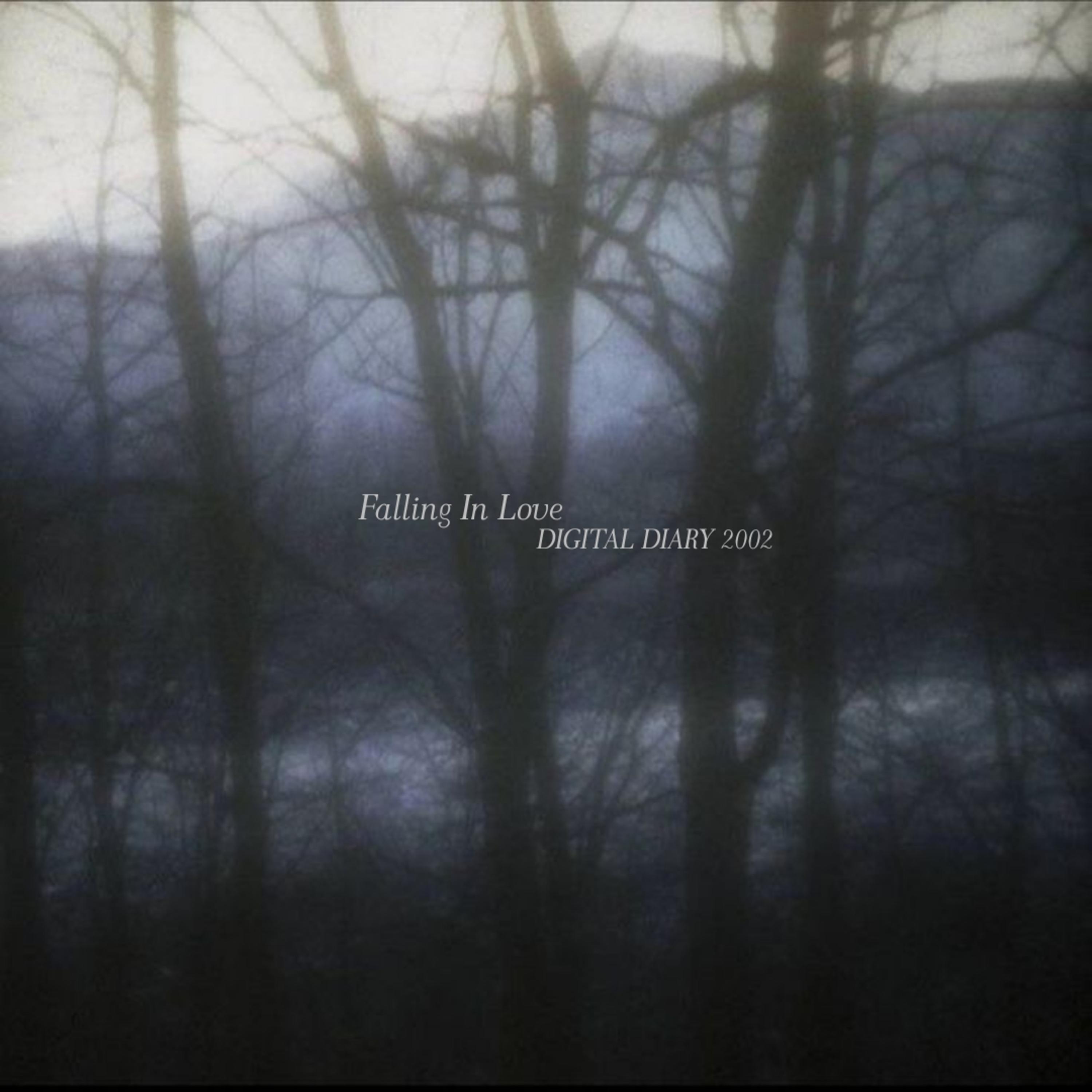 falling in love