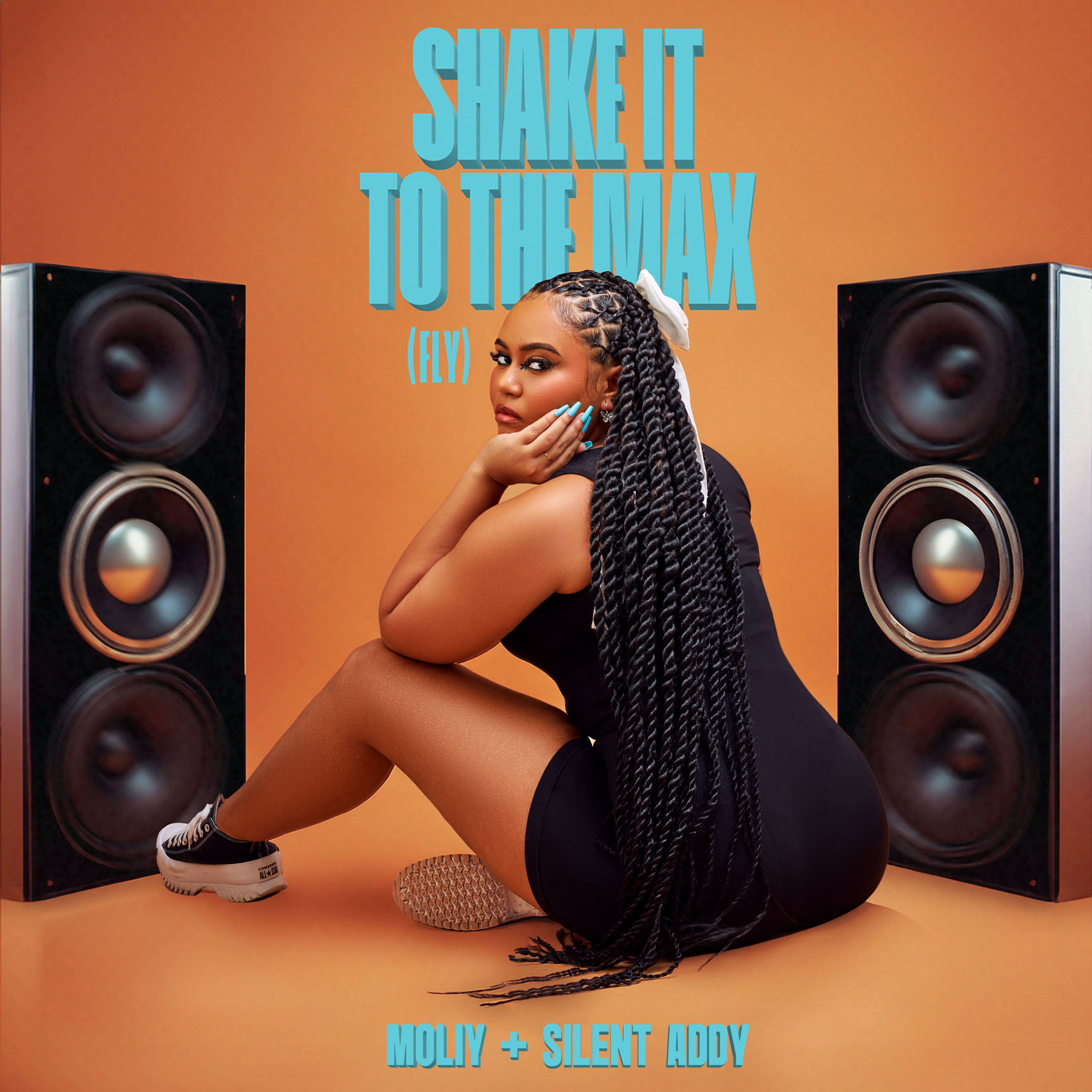 Shake It to the Max (FLY)