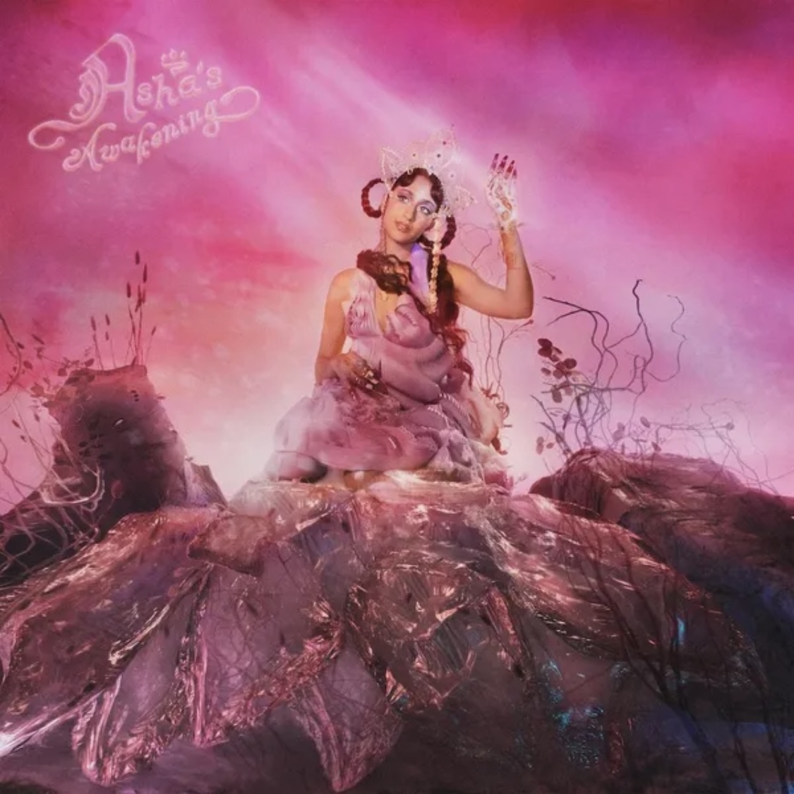 Asha's Awakening