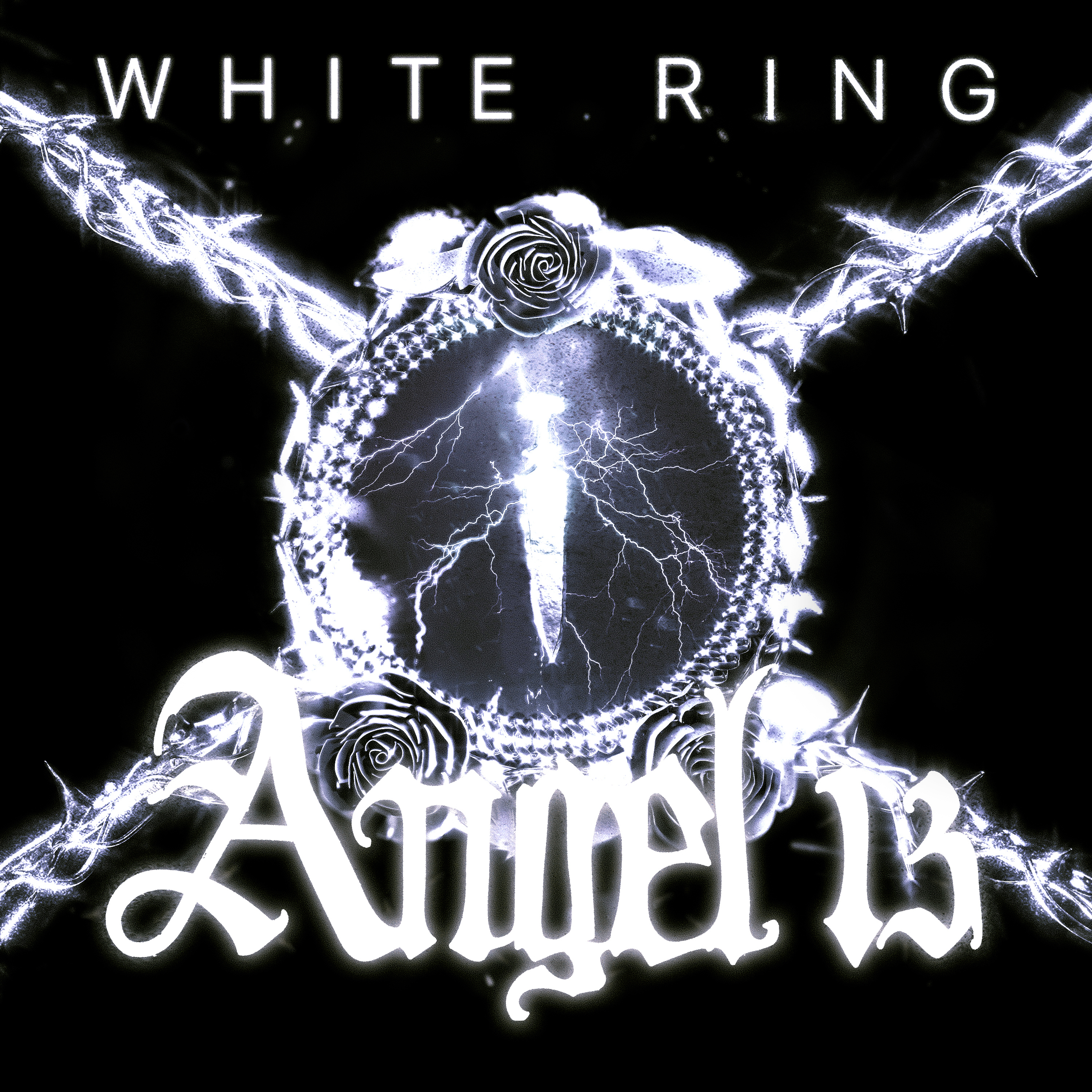 Angel 13 Volume 1