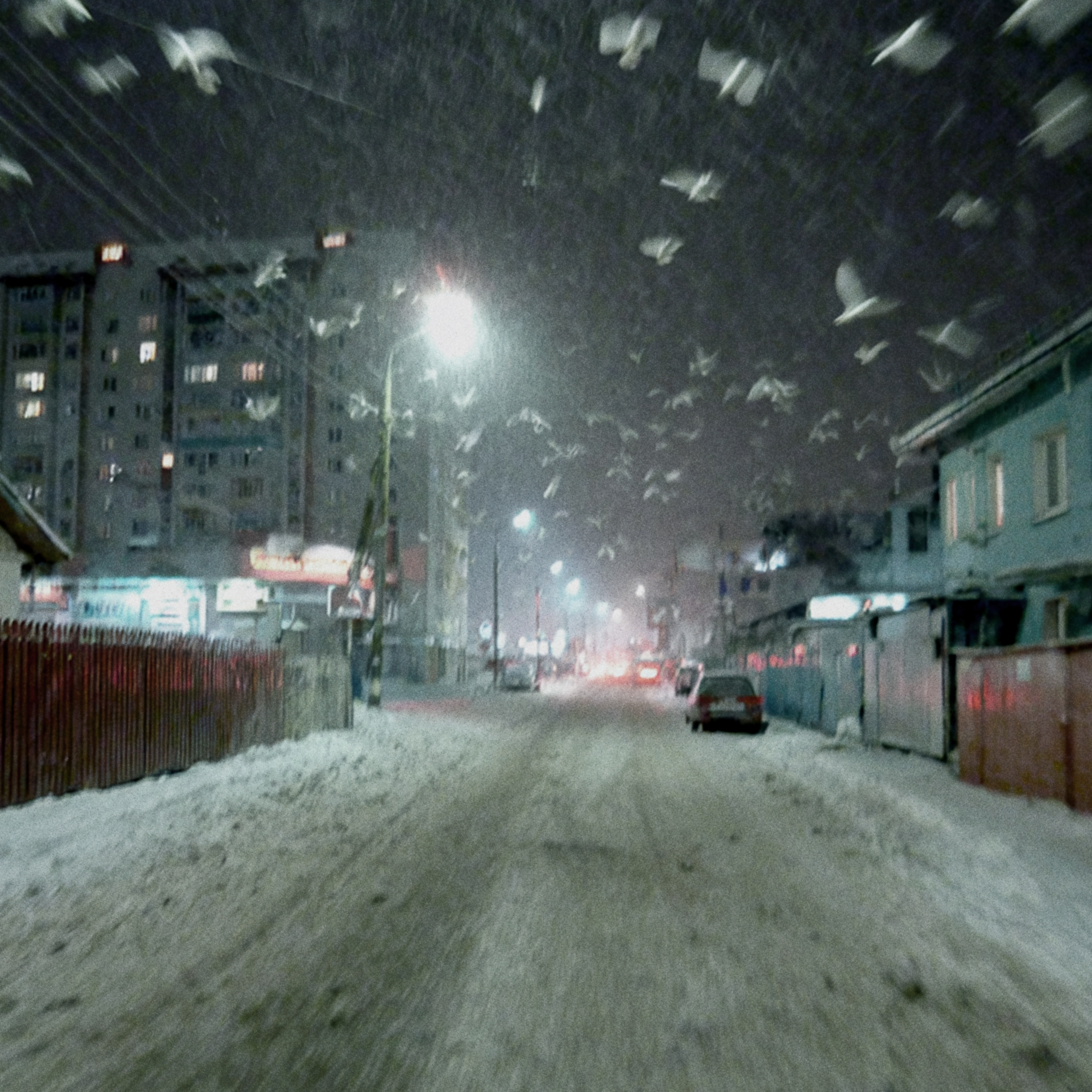 BLIZZARD